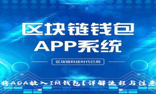如何将ADA放入IM钱包?详解流程与注意事项