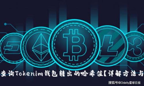 如何查询Tokenim钱包转出的哈希值?详解方法与步骤