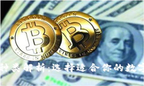 区块链钱包的种类解析:选择适合你的数字资产管理方式