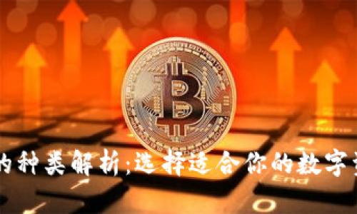 区块链钱包的种类解析:选择适合你的数字资产管理方式