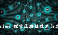 南昌Tokenim: 探索区块链技术与应用的未