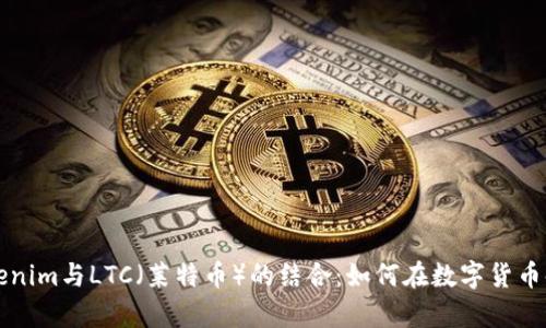 深入探讨Tokenim与LTC(莱特币)的结合:如何在数字货币时代获取财富