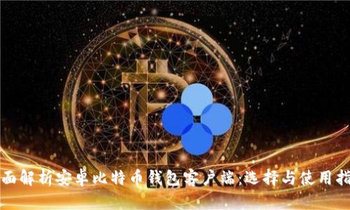 全面解析安卓比特币钱包客户端:选择与使用指南
