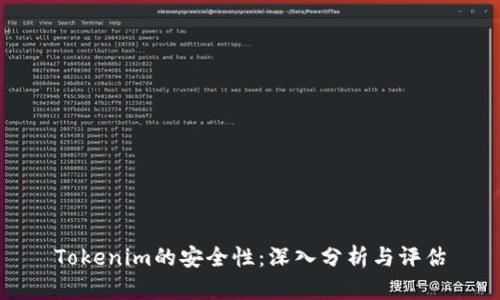 Tokenim的安全性:深入分析与评估