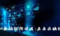 探索TokenIM波场矩阵项目：未来区块链
