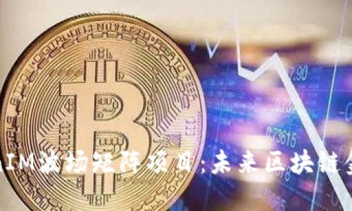 探索TokenIM波场矩阵项目:未来区块链金融的蓝图