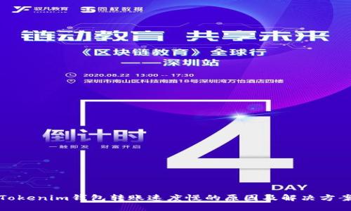 Tokenim钱包转账速度慢的原因及解决方案