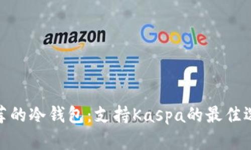 推荐的冷钱包:支持Kaspa的最佳选择
