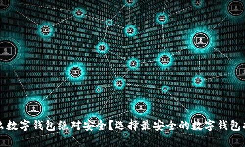 什么数字钱包绝对安全?选择最安全的数字钱包指南