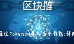 如何通过Tokenim导入多个钱包：详细指
