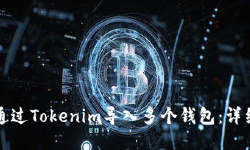 如何通过Tokenim导入多个钱包:详细指南
