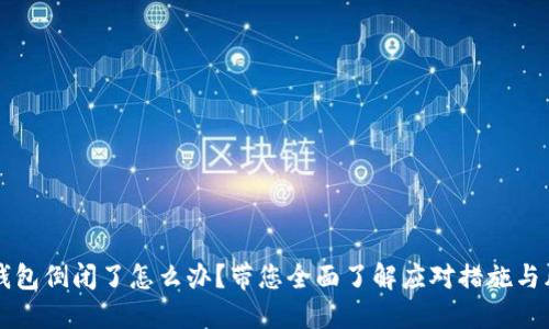 虚拟币钱包倒闭了怎么办?带您全面了解应对措施与风险管理