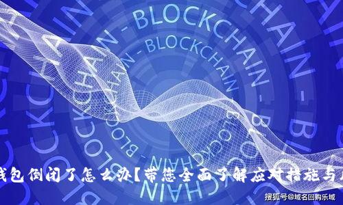 虚拟币钱包倒闭了怎么办?带您全面了解应对措施与风险管理