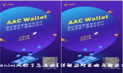 tokenim风控了怎么办？详解应对策略与