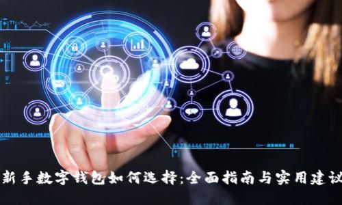 新手数字钱包如何选择:全面指南与实用建议