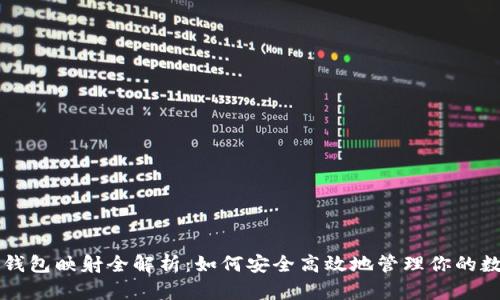 区块链钱包映射全解析:如何安全高效地管理你的数字资产