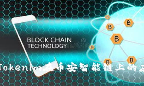 深入解析Tokenim在币安智能链上的应用与前景