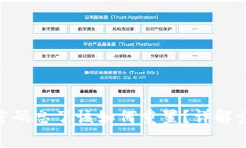 Tokenim支付密码忘了该如何重置?详解步骤与注意事项