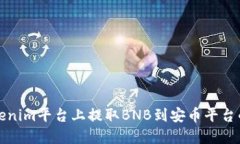 如何在Tokenim平台上提取BNB到安币平台