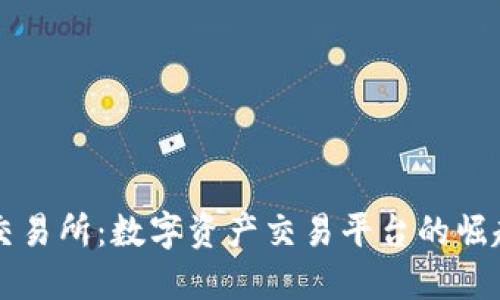 盛源币交易所:数字资产交易平台的崛起与未来