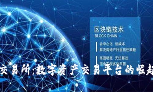 盛源币交易所:数字资产交易平台的崛起与未来