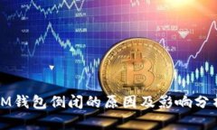 IM钱包倒闭的原因及影响分析