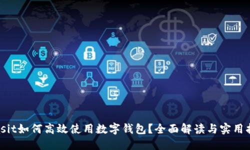 biasit如何高效使用数字钱包?全面解读与实用指南