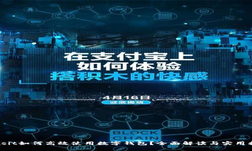 biasit如何高效使用数字钱包?全面解读与实用指南