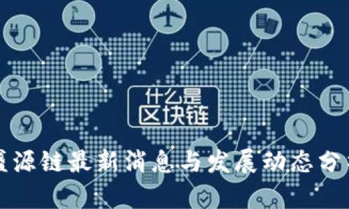 盛源链最新消息与发展动态分析