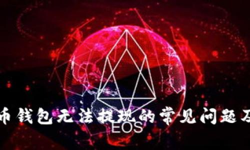 解决加密币钱包无法提现的常见问题及应对策略