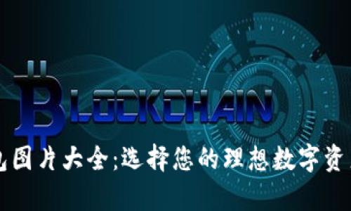 区块链钱包图片大全:选择您的理想数字资产存储方案