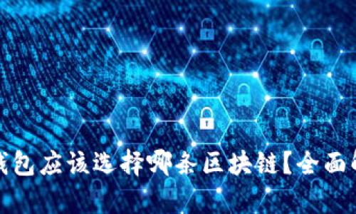 开通数字钱包应该选择哪条区块链?全面解析与建议