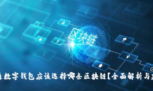 开通数字钱包应该选择哪条区块链?全面解析与建议