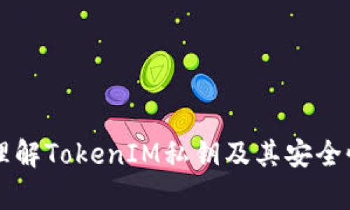深入理解TokenIM私钥及其安全性分析