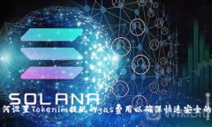 : 如何设置Tokenim提现的gas费用以确保快