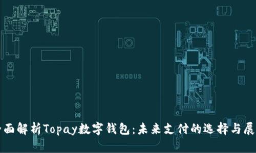 全面解析Topay数字钱包:未来支付的选择与展望
