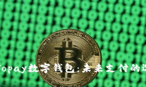 全面解析Topay数字钱包:未来支付的选择与展望