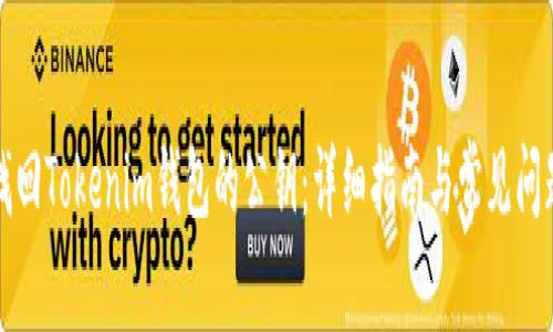 如何找回Tokenim钱包的公钥:详细指南与常见问题解答