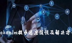 为何Tokenim提币速度缓慢及解决方案解
