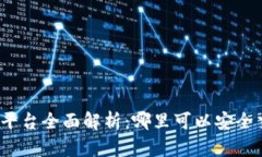 VV币交易平台全面解析：哪里可以安全