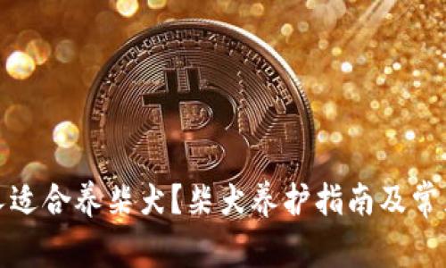 什么样的人适合养柴犬?柴犬养护指南及常见问题解答