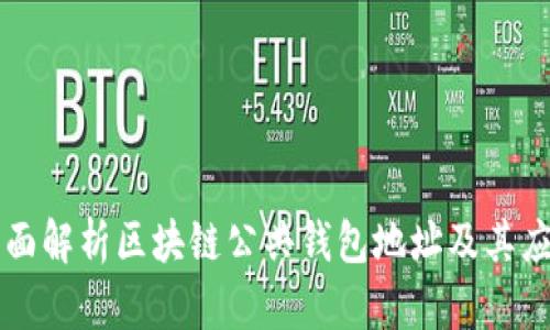 全面解析区块链公共钱包地址及其应用