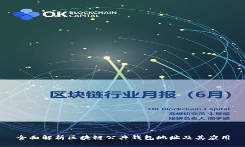 全面解析区块链公共钱包地址及其应用