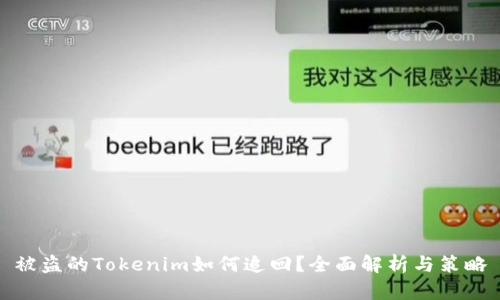被盗的Tokenim如何追回?全面解析与策略