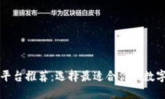 十大虚拟钱包平台推荐：选择最适合你
