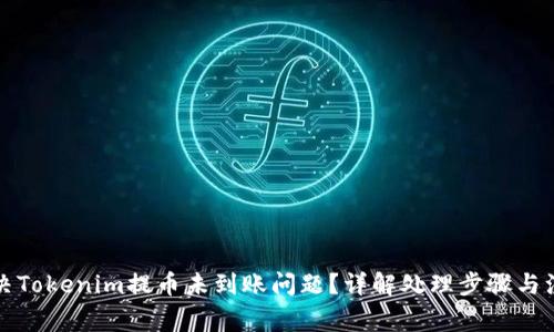如何解决Tokenim提币未到账问题?详解处理步骤与注意事项