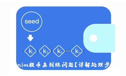 如何解决Tokenim提币未到账问题?详解处理步骤与注意事项