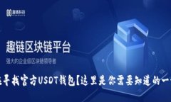 在寻找官方USDT钱包？这里是你需要知