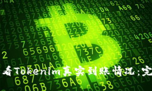 如何查看Tokenim真实到账情况:完整指南