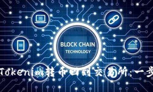如何将Tokenim转币回到交易所:一步步指导